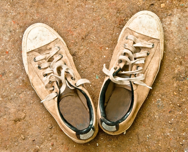 Cute WordPress Template Shoes Image
